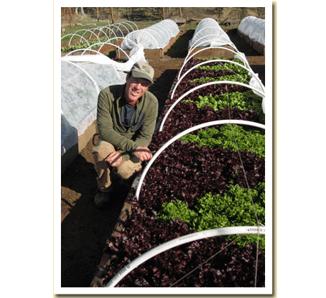 Gary with Winter Lettuce