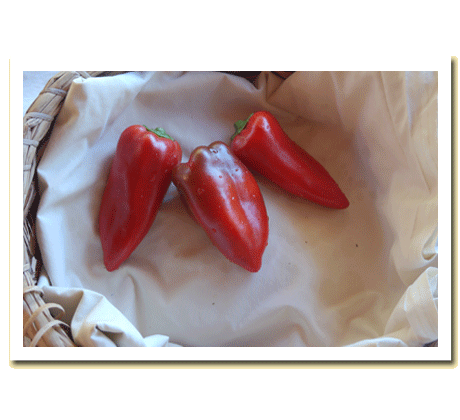Lipstick Peppers